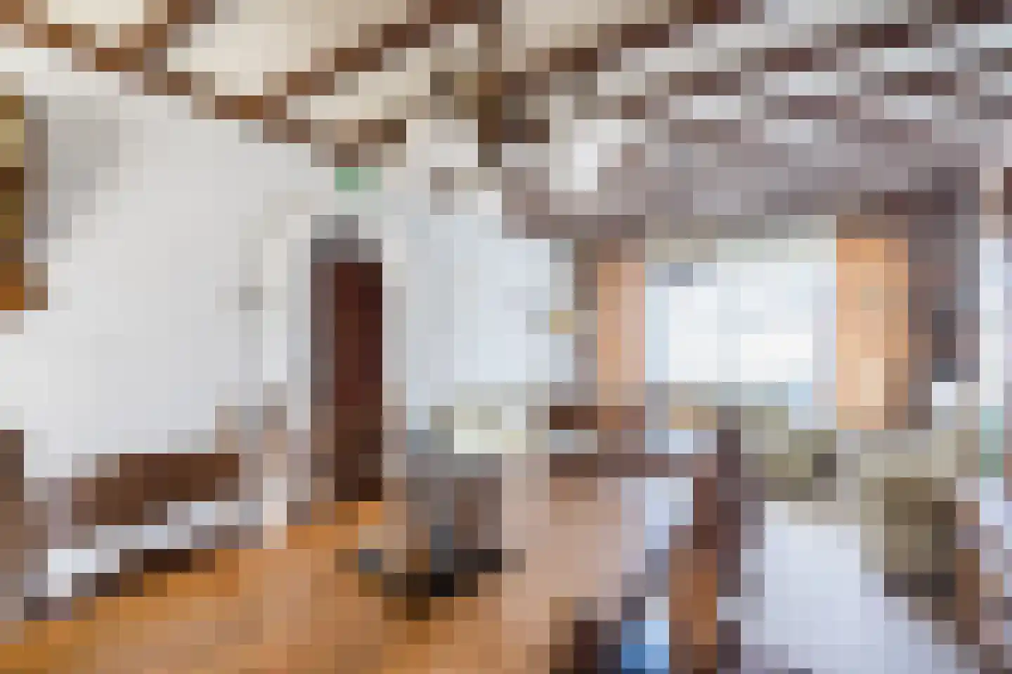 Burg. Greijmansstraat 49 Nederweert thumbnail 8