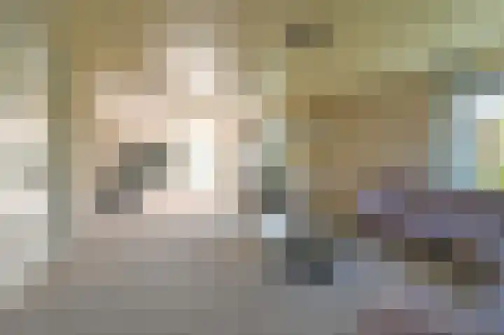 Burg Groot Enzerinksngl 69 Maasland thumbnail 10