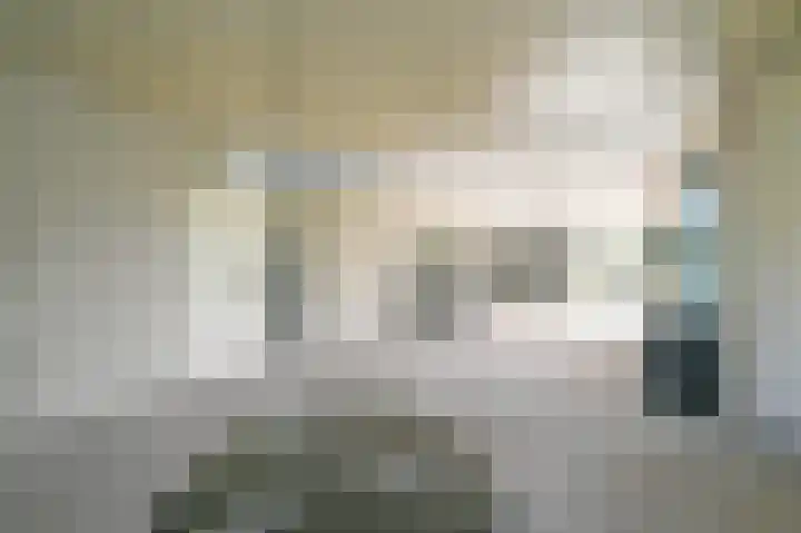 Burg Groot Enzerinksngl 69 Maasland thumbnail 11