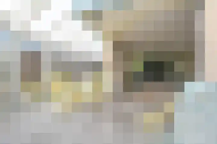 Burg Groot Enzerinksngl 69 Maasland thumbnail 15
