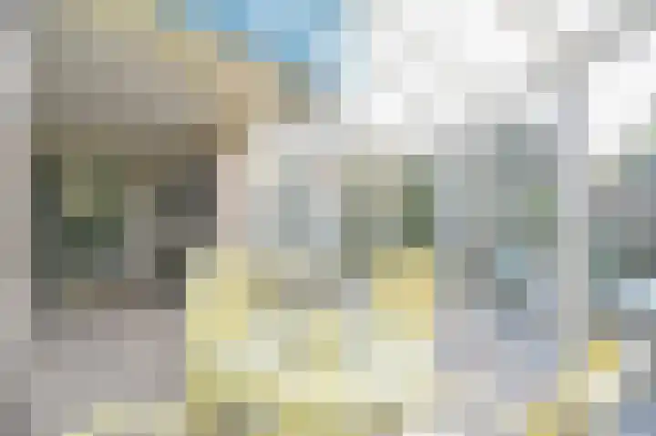 Burg Groot Enzerinksngl 69 Maasland thumbnail 16