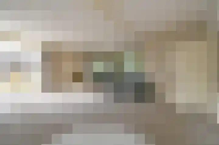 Burg Groot Enzerinksngl 69 Maasland thumbnail 17