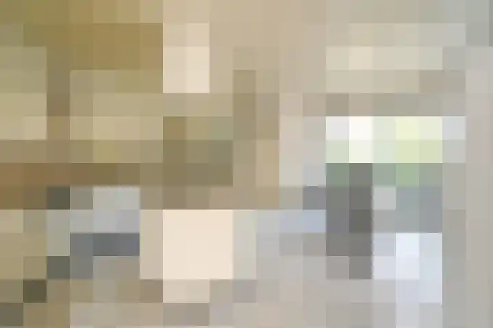 Burg Groot Enzerinksngl 69 Maasland thumbnail 18