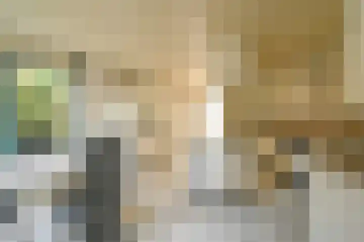 Burg Groot Enzerinksngl 69 Maasland thumbnail 19