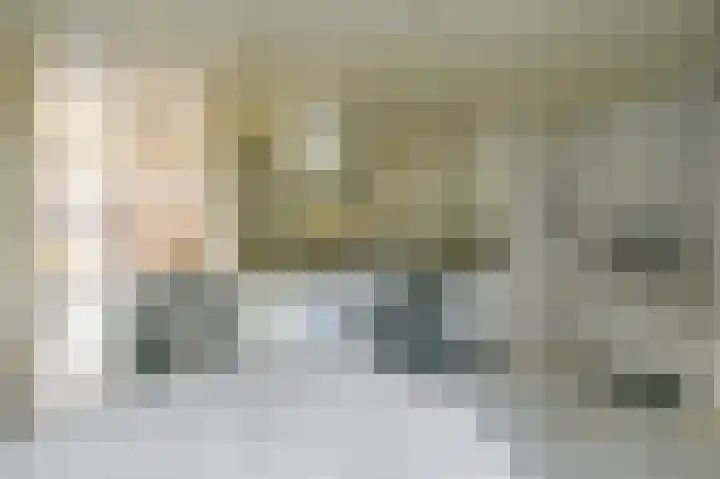 Burg Groot Enzerinksngl 69 Maasland thumbnail 20