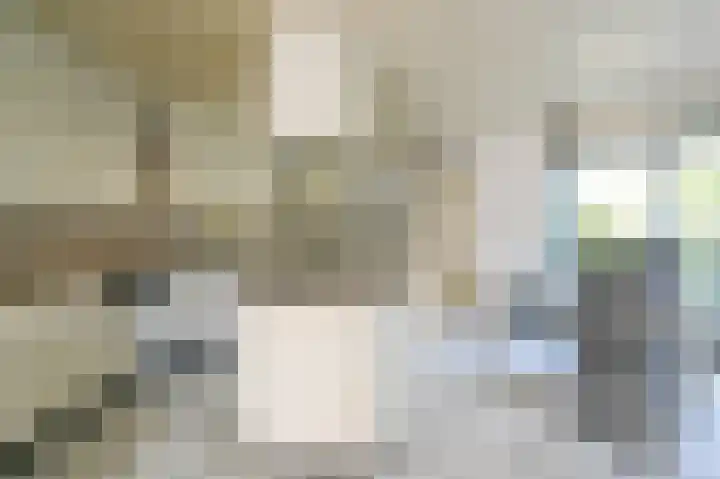Burg Groot Enzerinksngl 69 Maasland thumbnail 21