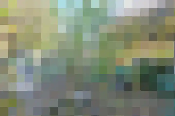 Burg Groot Enzerinksngl 69 Maasland thumbnail 28