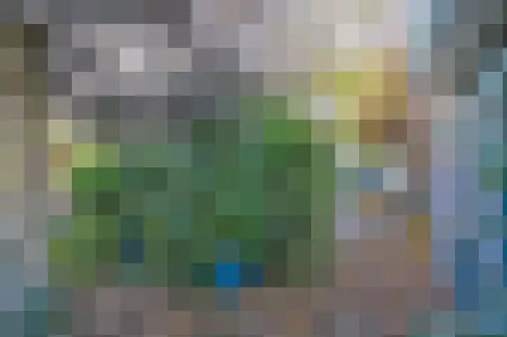 Burg Groot Enzerinksngl 69 Maasland thumbnail 31