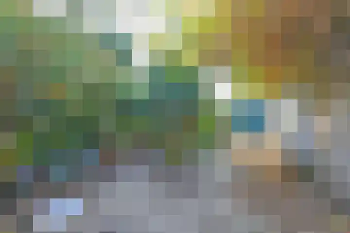 Burg Groot Enzerinksngl 69 Maasland thumbnail 32