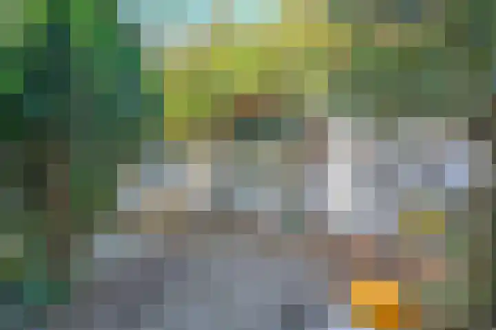 Burg Groot Enzerinksngl 69 Maasland thumbnail 33