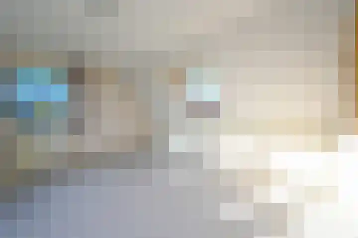 Burg Groot Enzerinksngl 69 Maasland thumbnail 37