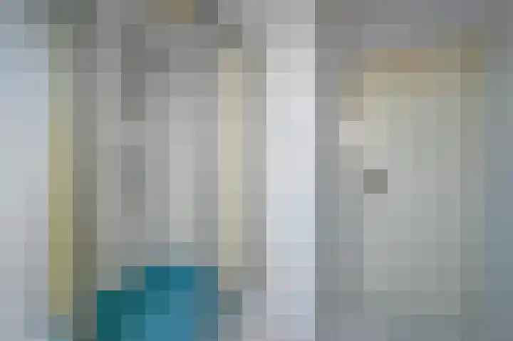 Burg Groot Enzerinksngl 69 Maasland thumbnail 40
