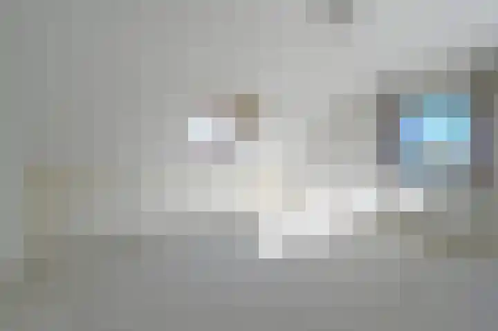 Burg Groot Enzerinksngl 69 Maasland thumbnail 41