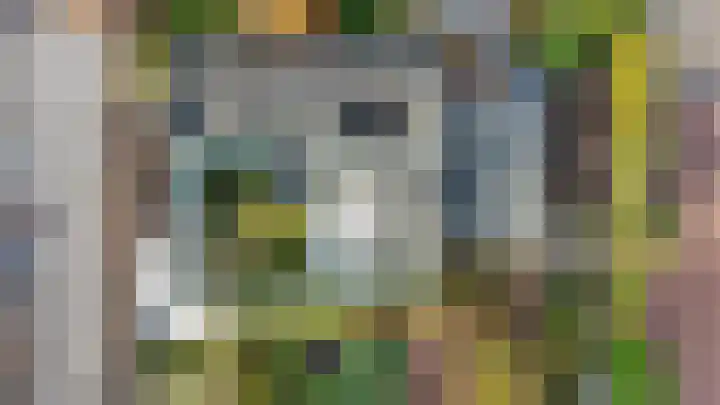 Burg Groot Enzerinksngl 69 Maasland thumbnail 47
