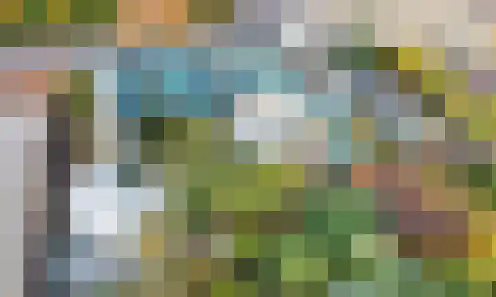 Burg Groot Enzerinksngl 69 Maasland thumbnail 49