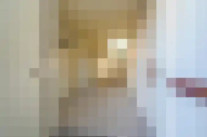 Burg Groot Enzerinksngl 69 Maasland thumbnail 5
