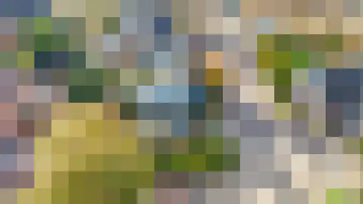 Burg Groot Enzerinksngl 69 Maasland thumbnail 50
