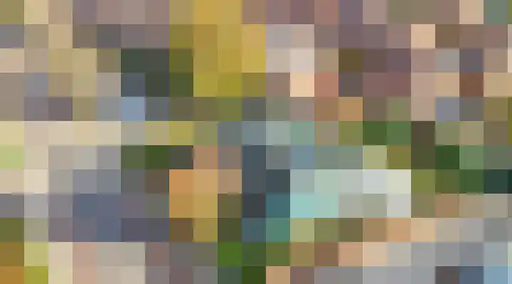 Burg Groot Enzerinksngl 69 Maasland thumbnail 51