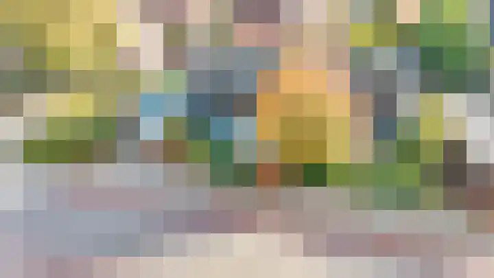 Burg Groot Enzerinksngl 69 Maasland thumbnail 52
