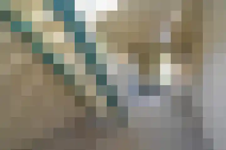 Burg Groot Enzerinksngl 69 Maasland thumbnail 6