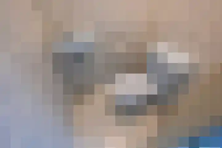 Burg Groot Enzerinksngl 69 Maasland thumbnail 7
