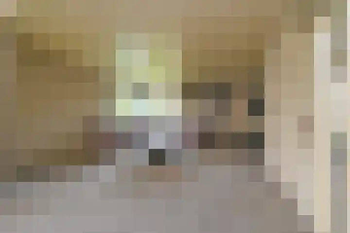 Burg Groot Enzerinksngl 69 Maasland thumbnail 8