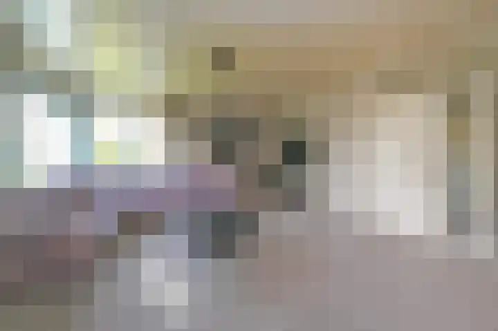 Burg Groot Enzerinksngl 69 Maasland thumbnail 9