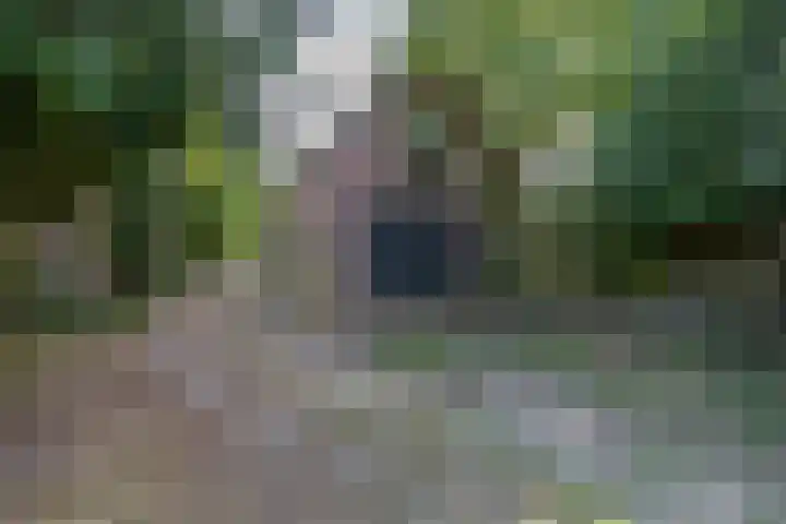 Burg Grothestraat 27 Soest thumbnail 36