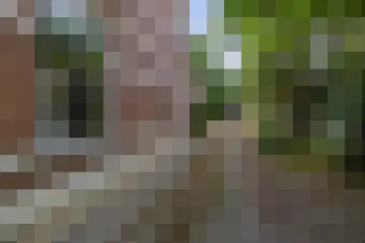 Burg Grothestraat 27 Soest thumbnail 39