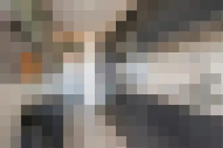 Burg Grothestraat 3 Soest thumbnail 9