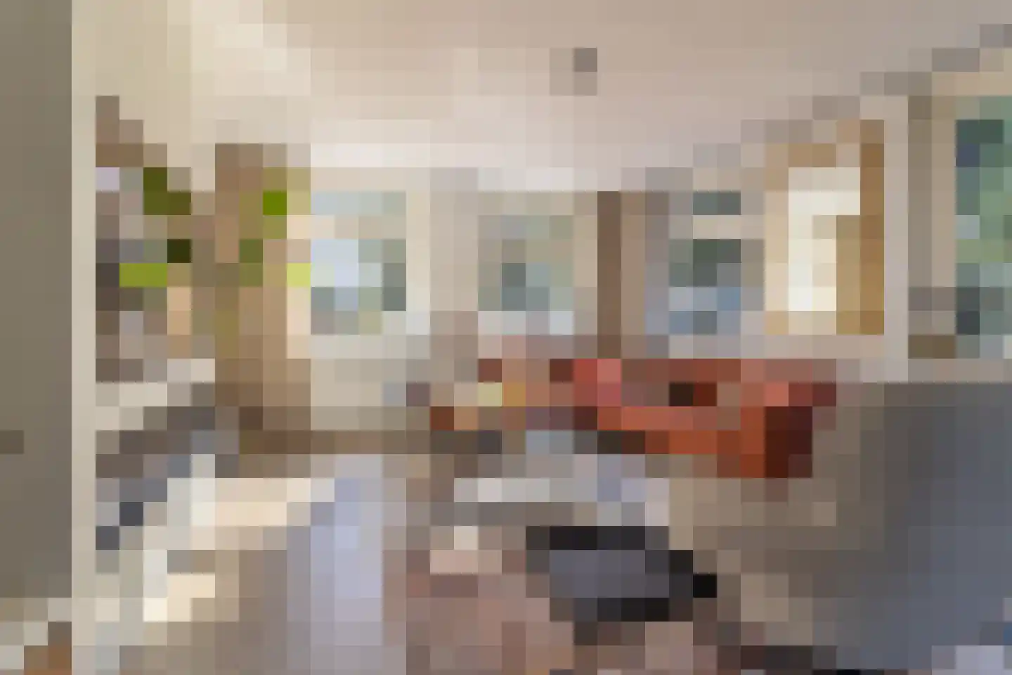 Burg Grothestraat 53 E Soest thumbnail 15