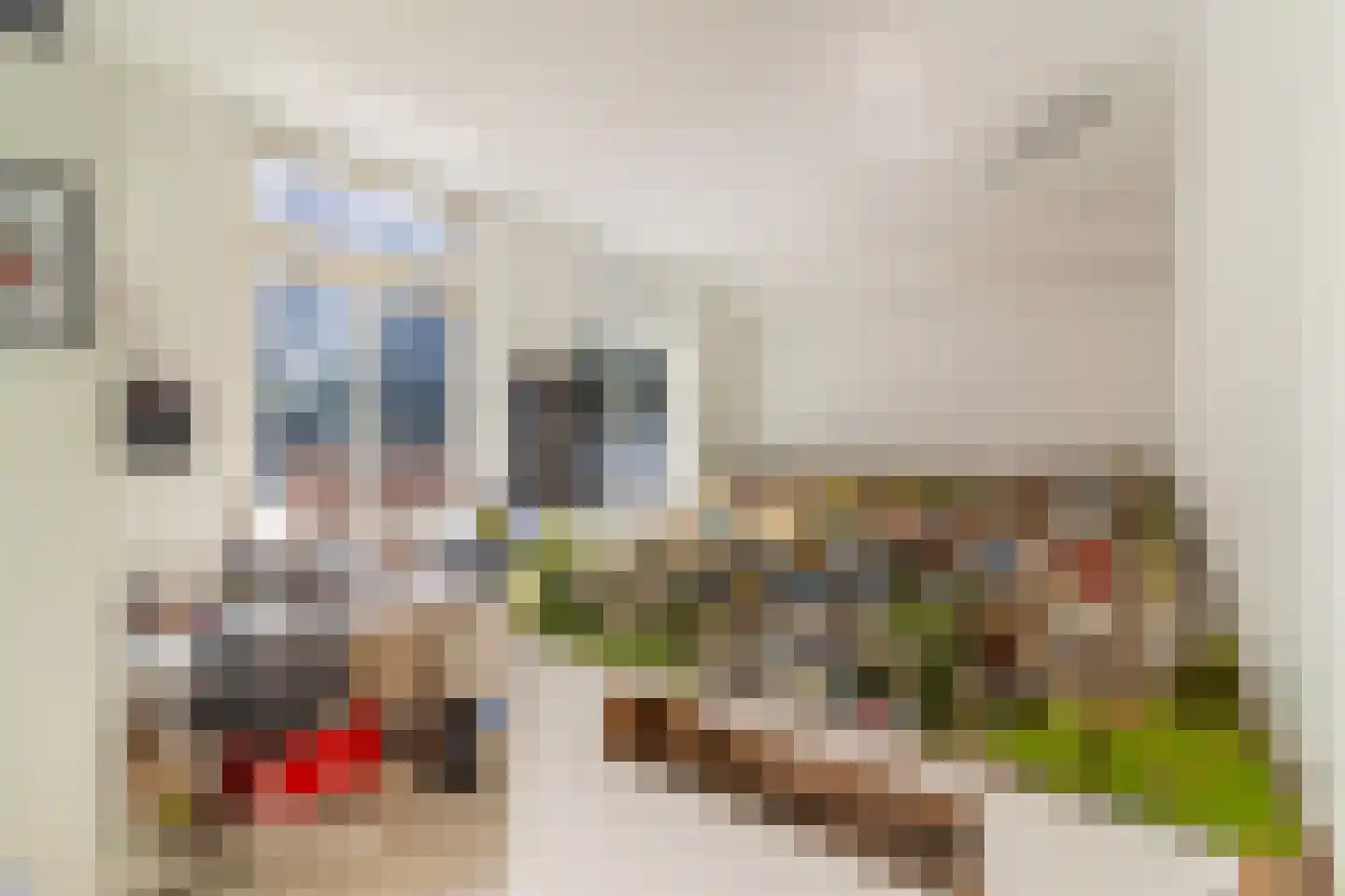 Burg Grothestraat 53 E Soest thumbnail 21