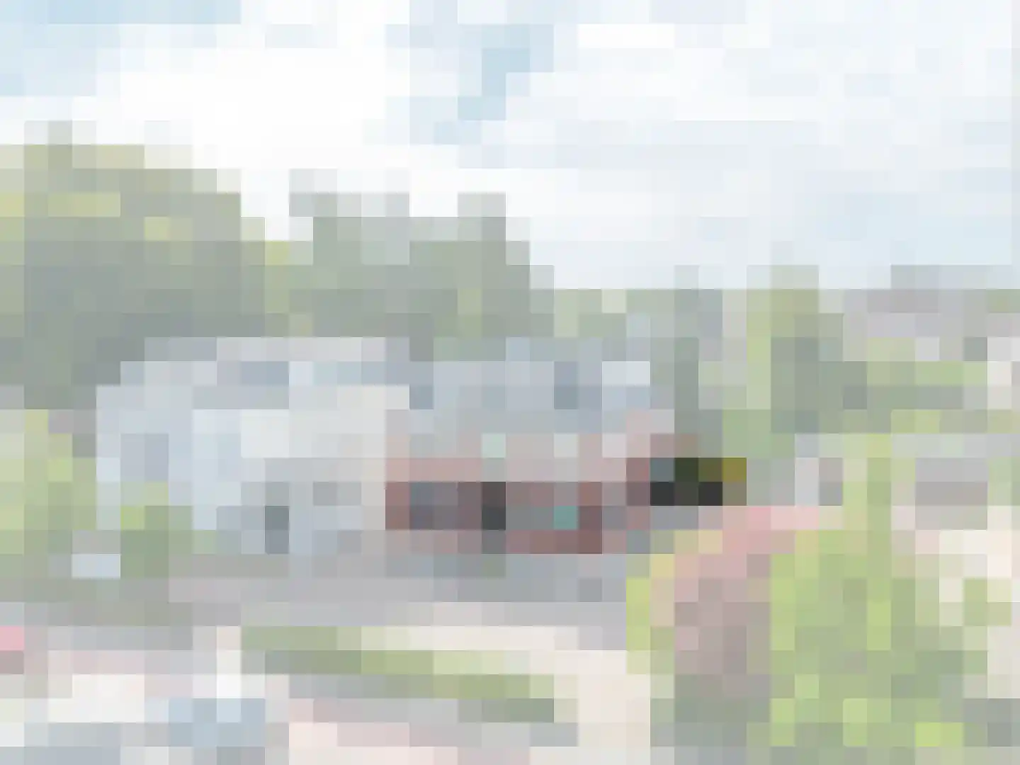 Burg Grothestraat 53 E Soest thumbnail 27