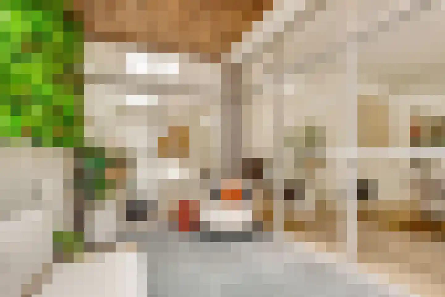Burg Grothestraat 53 F Soest thumbnail 10