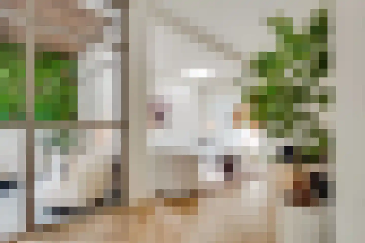 Burg Grothestraat 53 F Soest thumbnail 6