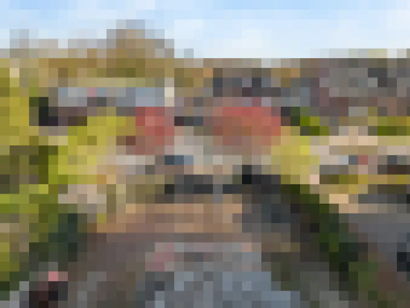 Burg Grothestraat 55 A Soest thumbnail 16