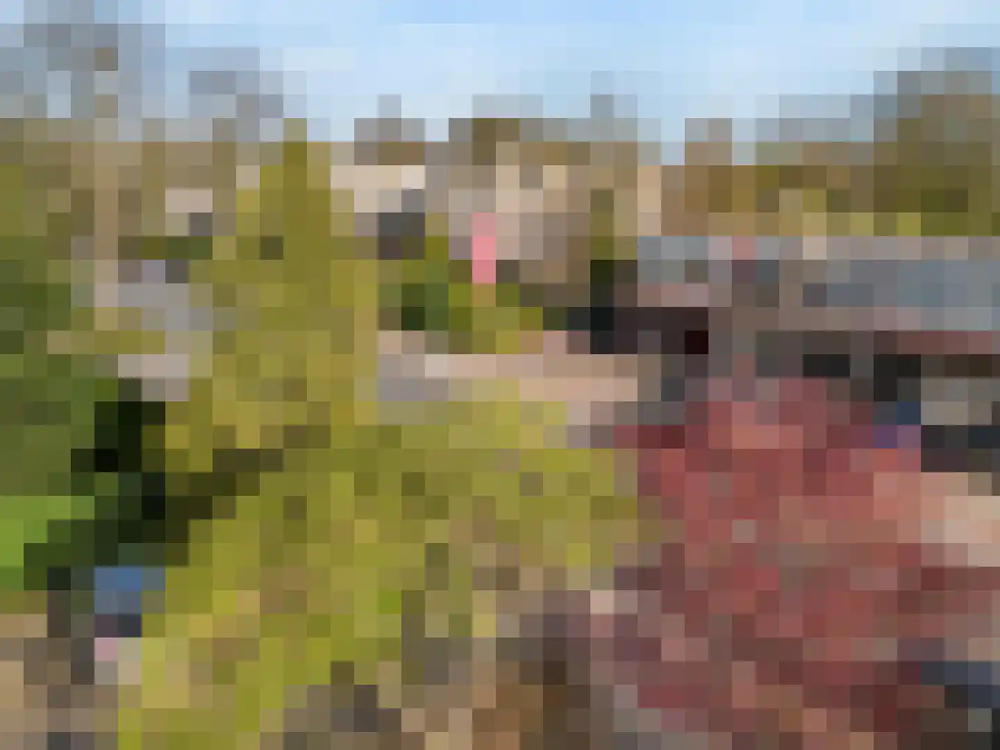 Burg Grothestraat 55 A Soest thumbnail 18