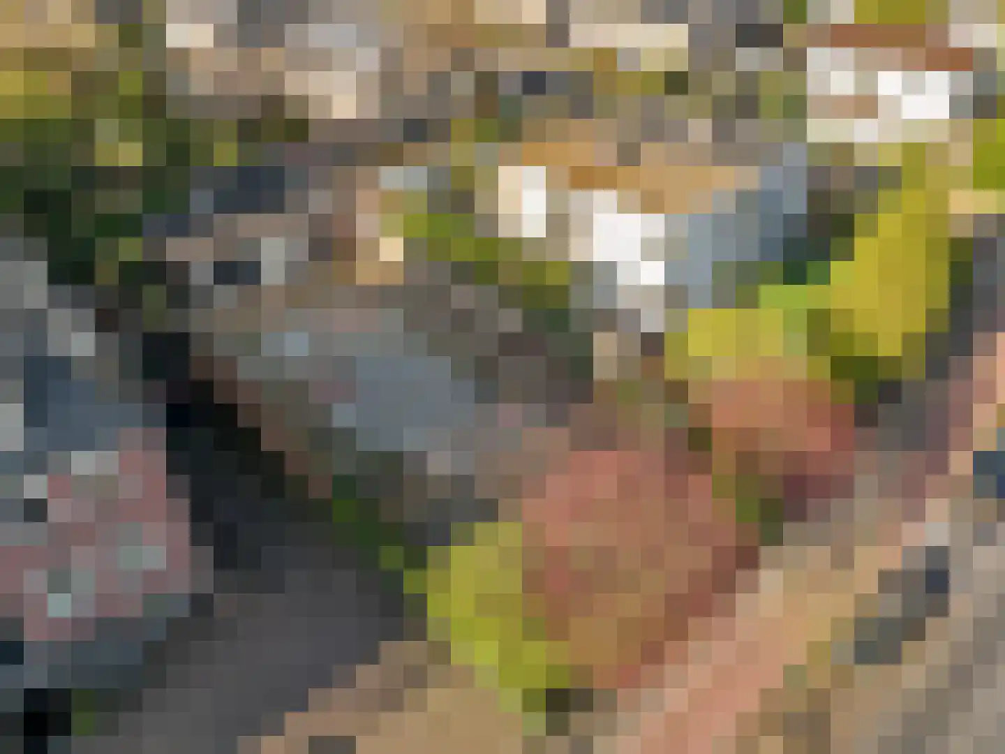 Burg Grothestraat 55 A Soest thumbnail 5