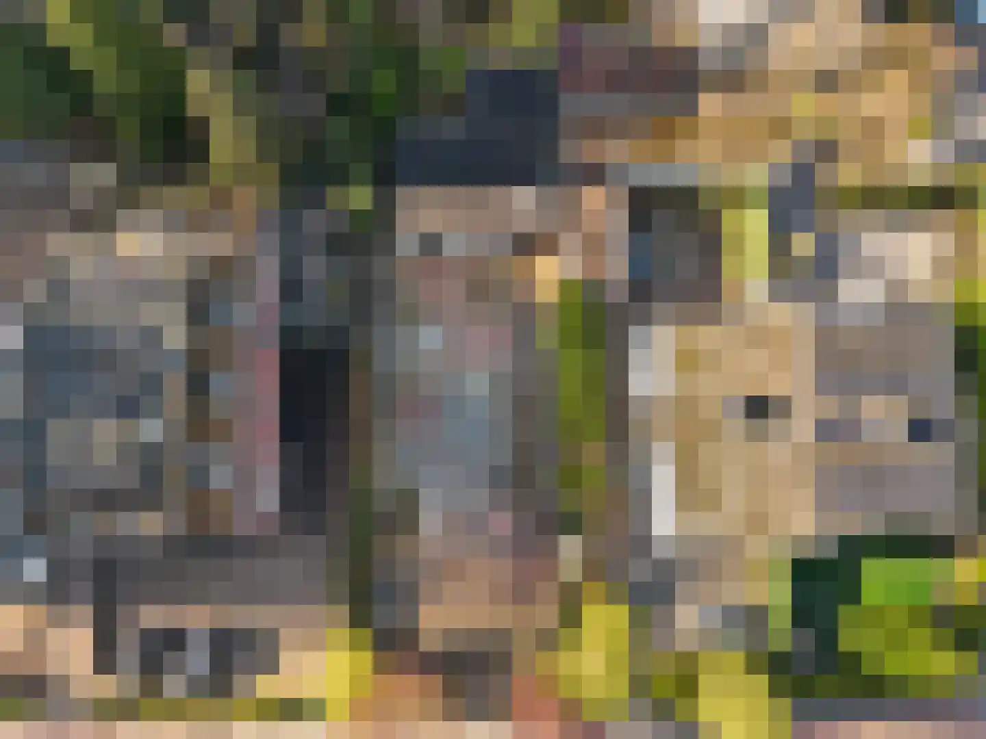 Burg Grothestraat 55 A Soest thumbnail 9