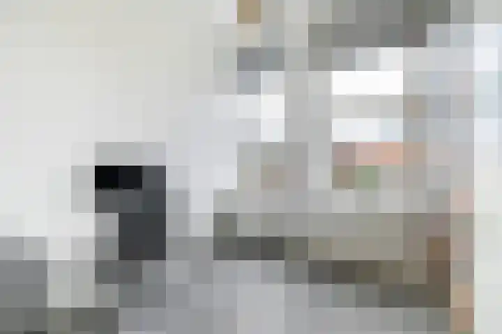 Burg H v Sleenstr 10 Brielle thumbnail 30