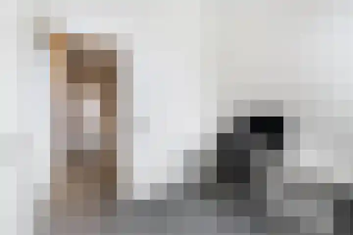 Burg H v Sleenstr 10 Brielle thumbnail 31