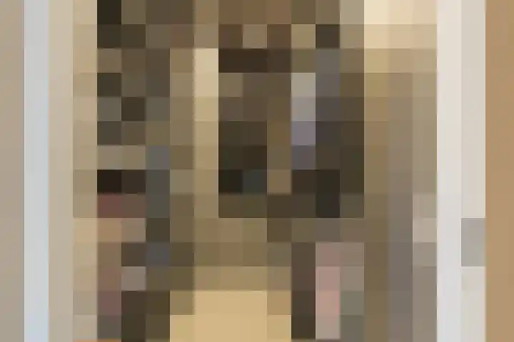 Burg H v Sleenstr 10 Brielle thumbnail 32