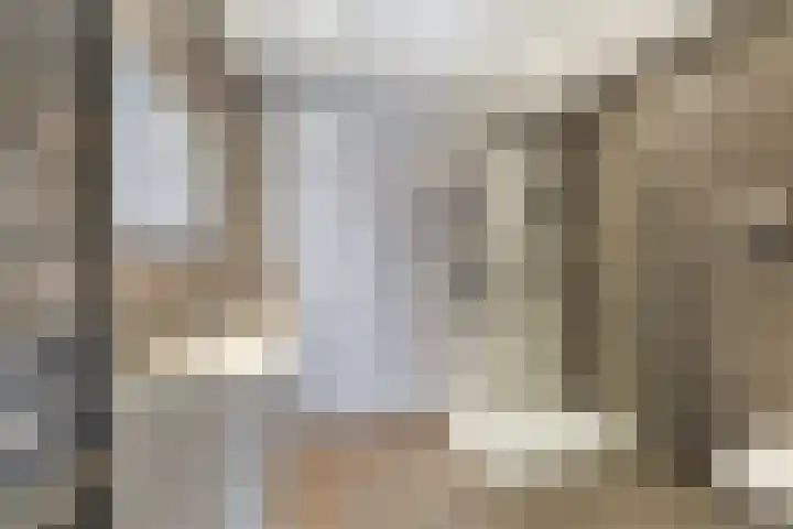 Burg H v Sleenstr 10 Brielle thumbnail 36