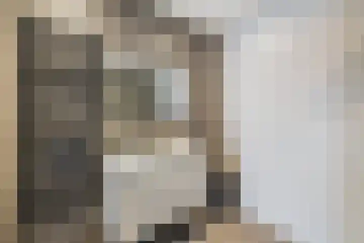 Burg H v Sleenstr 10 Brielle thumbnail 37