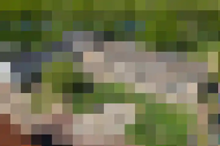 Burg H v Sleenstr 10 Brielle thumbnail 4