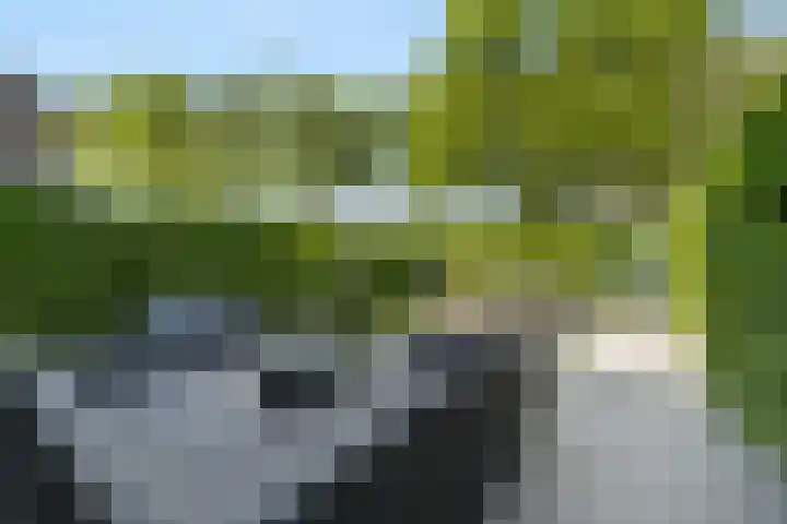 Burg H v Sleenstr 10 Brielle thumbnail 43