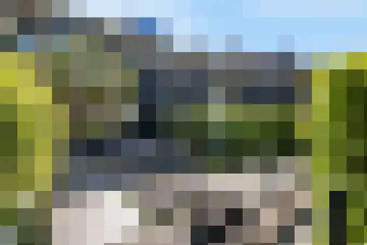 Burg H v Sleenstr 10 Brielle thumbnail 47