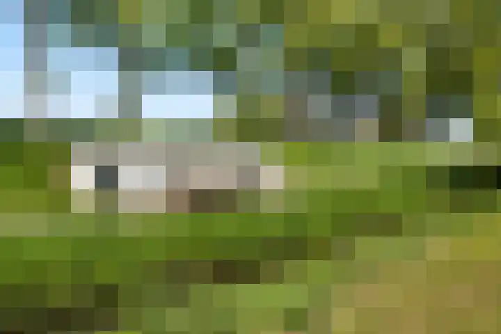 Burg H v Sleenstr 10 Brielle thumbnail 58