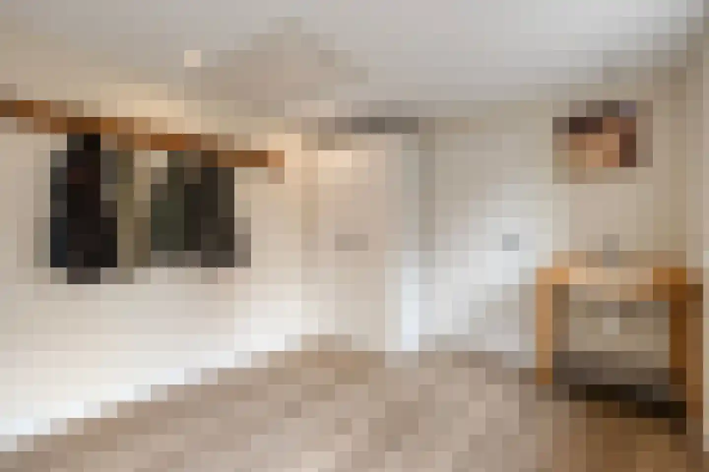 Burg. Haitsmalaan 22 Nijeveen thumbnail 13