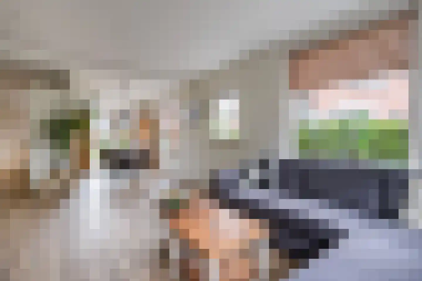 Burg. Haitsmalaan 22 Nijeveen thumbnail 6